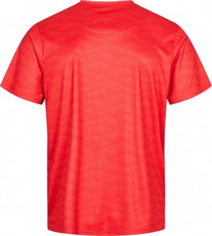 RSL - T-shirt męski Leonardo (202305)